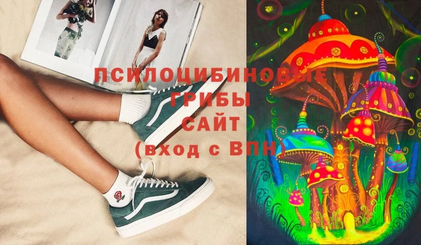 ALPHA PVP Козельск
