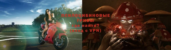 ALPHA PVP Козельск