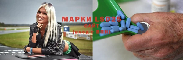 гидра Костерёво